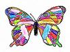Butterfly Coloring book